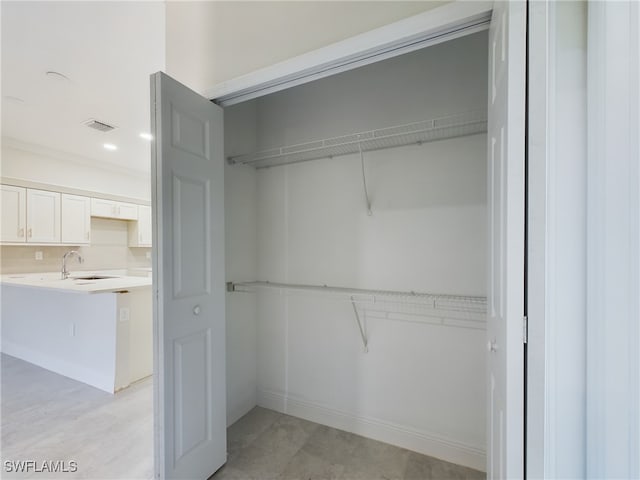 closet featuring sink