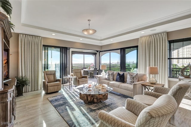 living room featuring a raised ceiling