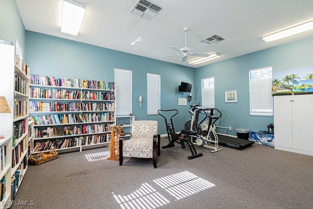 exercise room with ceiling fan and carpet floors