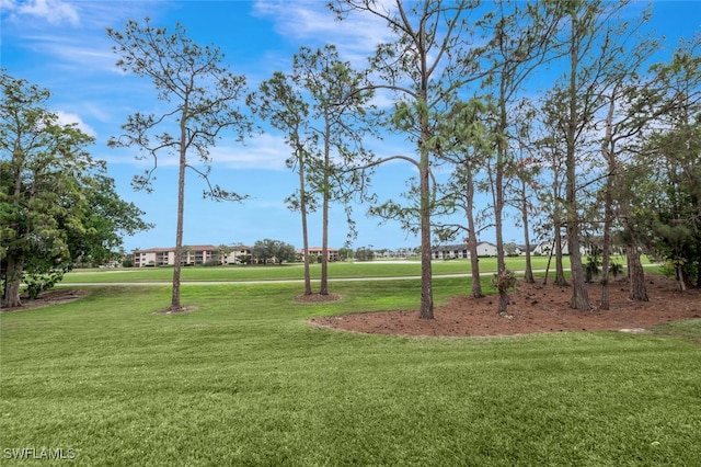 view of property's community featuring a yard