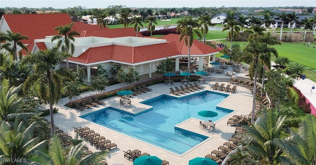 view of swimming pool featuring a patio area