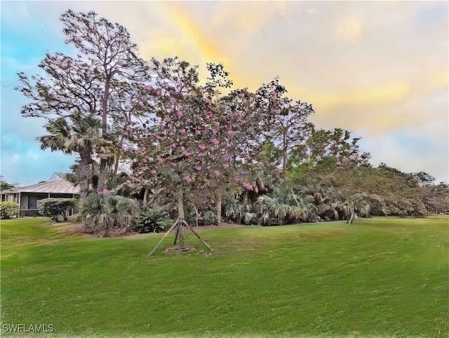 view of yard at dusk