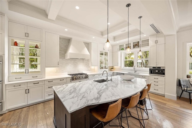 kitchen featuring premium range hood, light stone counters, a kitchen island with sink, and sink