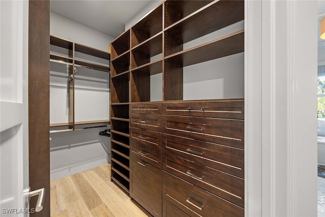 walk in closet with light hardwood / wood-style flooring