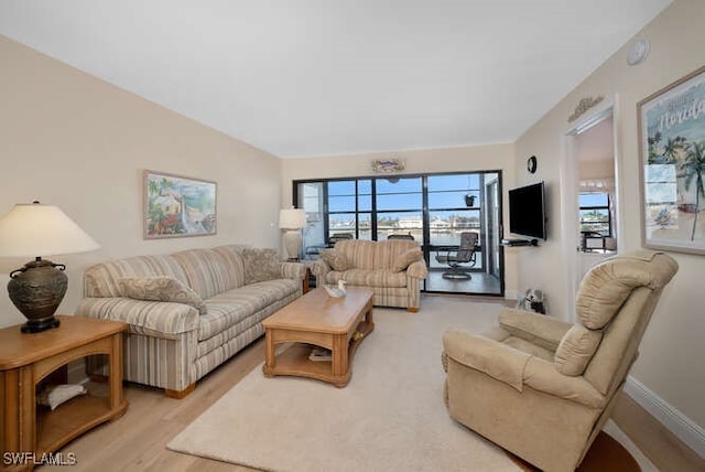 living room featuring light wood-type flooring