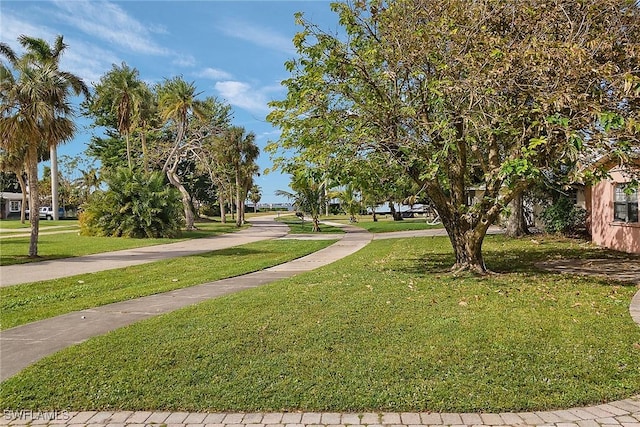 view of property's community with a yard