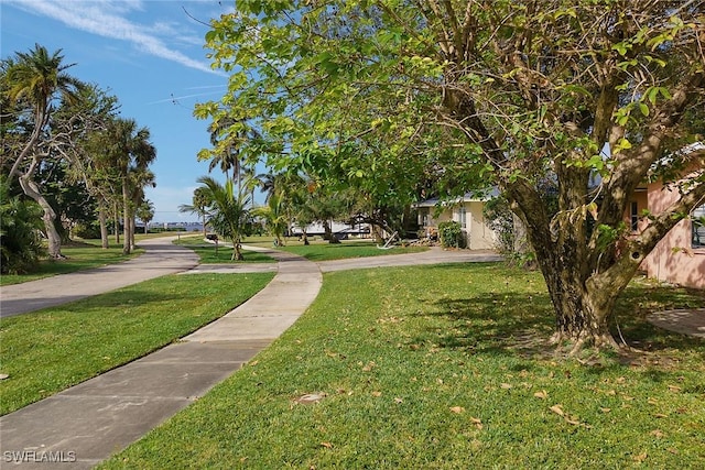 view of home's community with a lawn