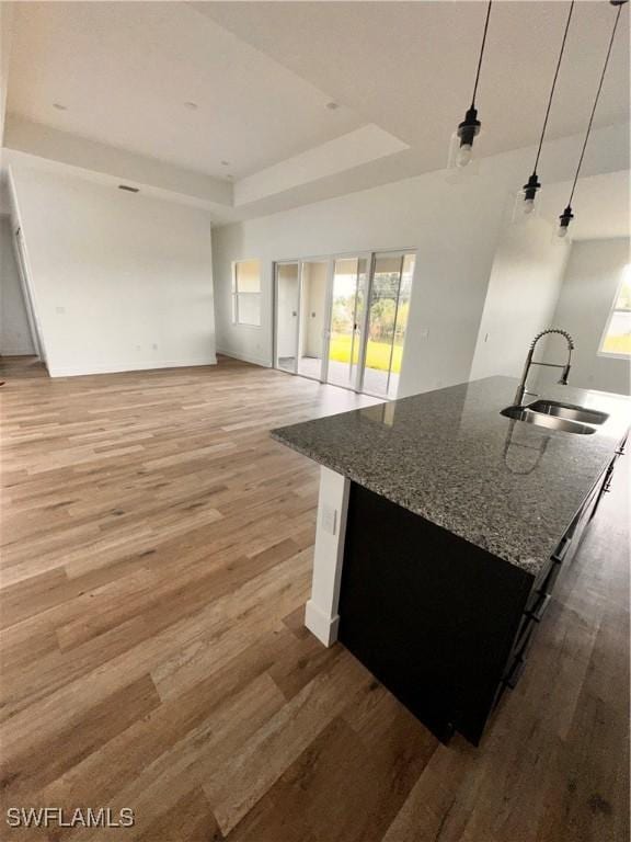 kitchen featuring a tray ceiling, sink, stone countertops, decorative light fixtures, and an island with sink