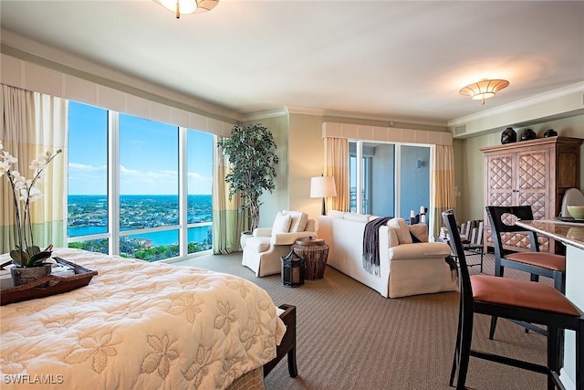 carpeted bedroom with a water view and crown molding