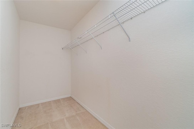 spacious closet with light carpet