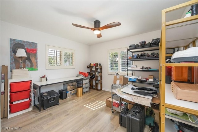 storage room with ceiling fan