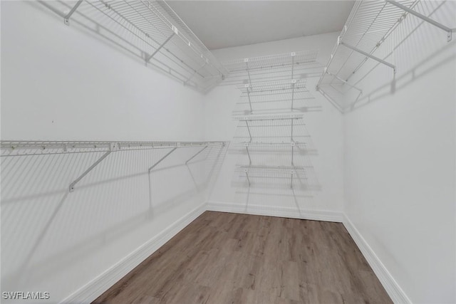 walk in closet featuring hardwood / wood-style floors