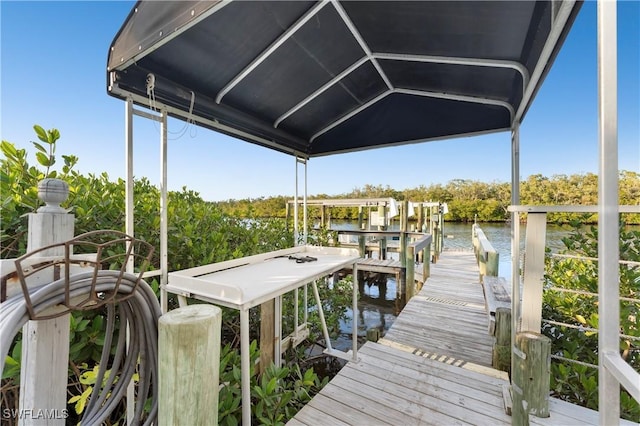 dock area with a water view