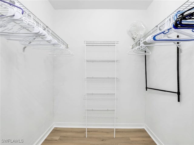 spacious closet featuring hardwood / wood-style flooring