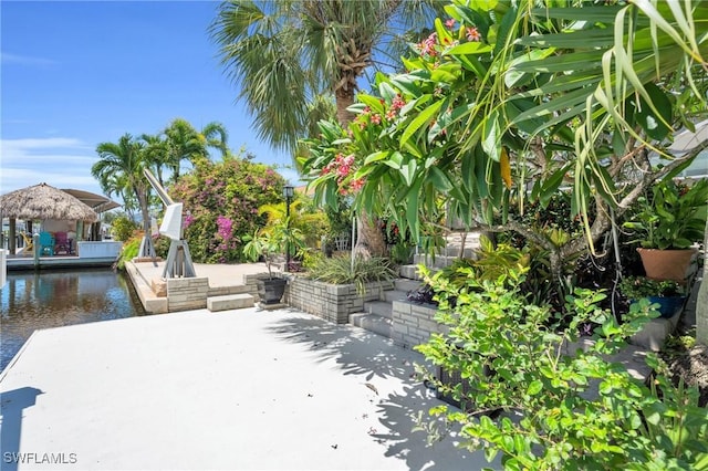 view of yard with a patio area