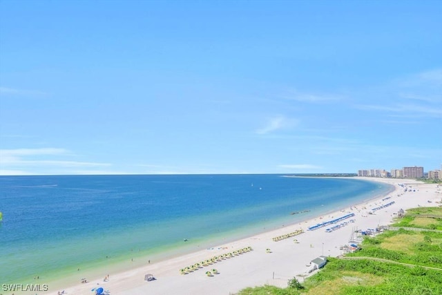 view of water feature featuring a beach view