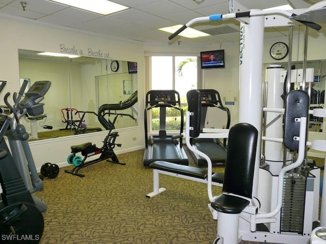 exercise room featuring crown molding and carpet floors