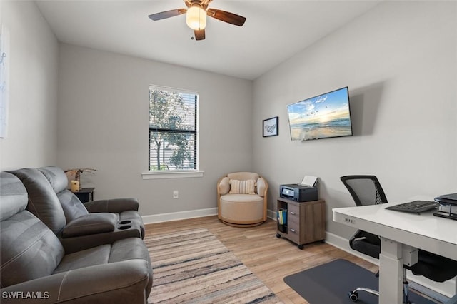 office featuring light hardwood / wood-style flooring and ceiling fan