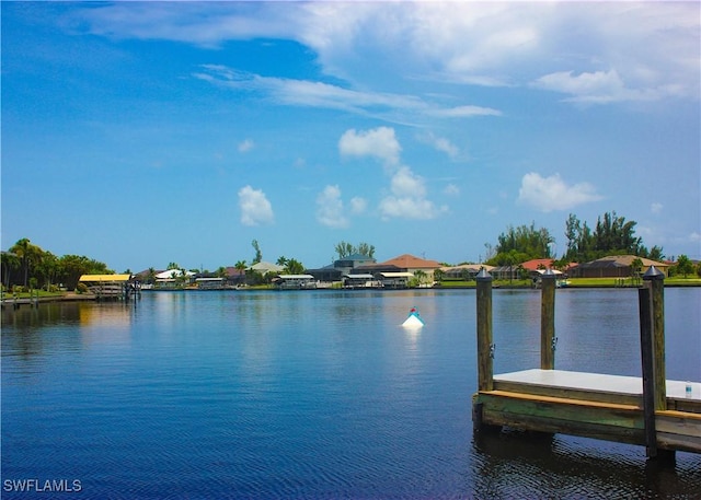 water view featuring a boat dock