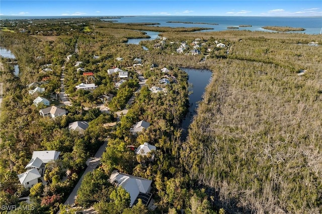 drone / aerial view with a water view and a forest view