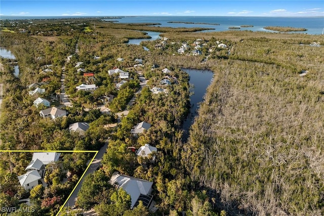 aerial view with a water view