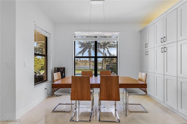 dining room with a wealth of natural light