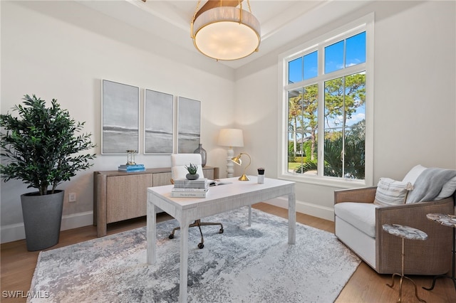 office with light wood-type flooring