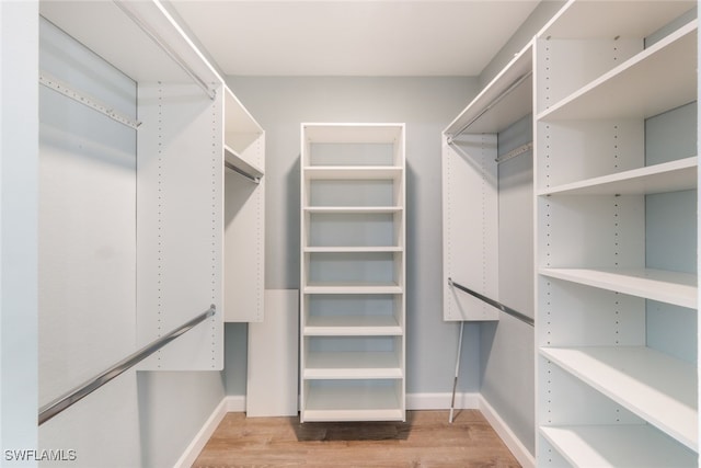 spacious closet featuring light hardwood / wood-style floors