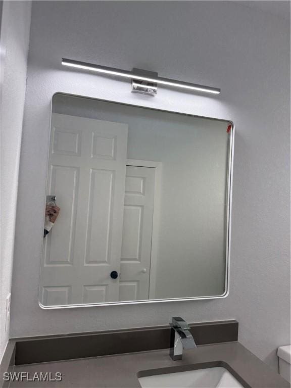 room details with vanity and toilet