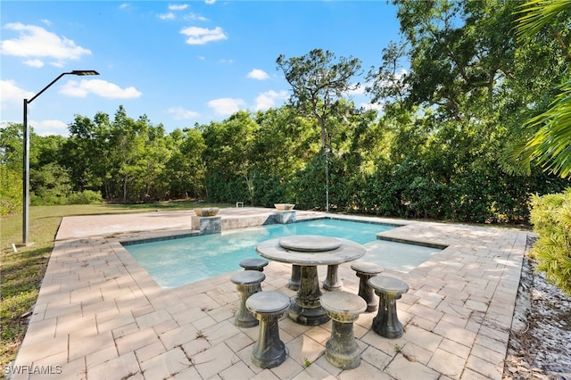 view of pool with a patio area