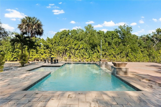 view of pool featuring a patio area