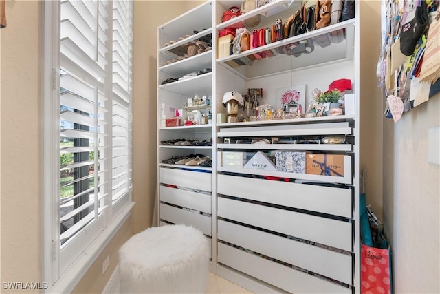 view of walk in closet