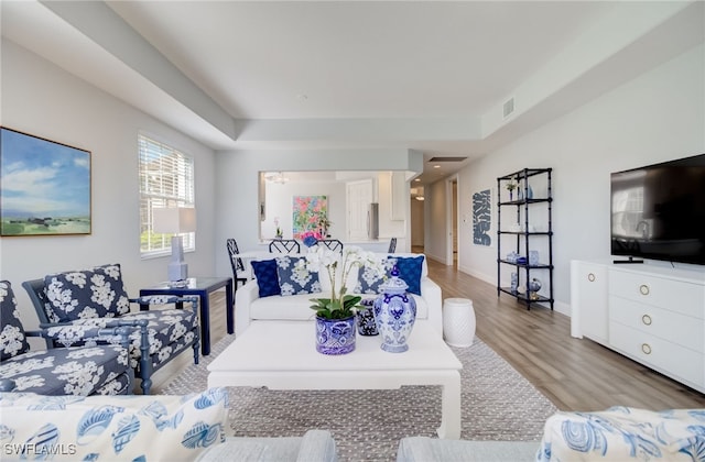 living room with light hardwood / wood-style floors and a raised ceiling