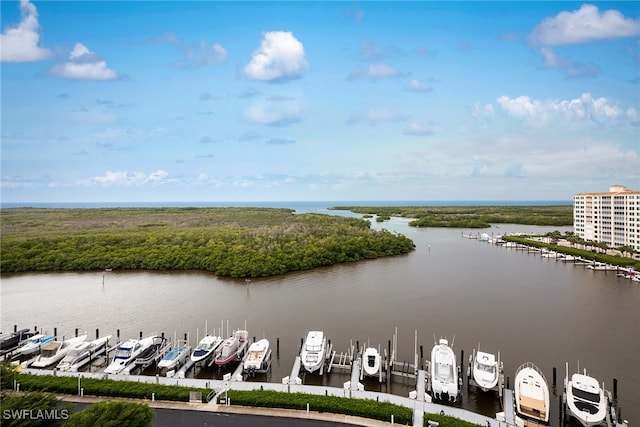 bird's eye view featuring a water view