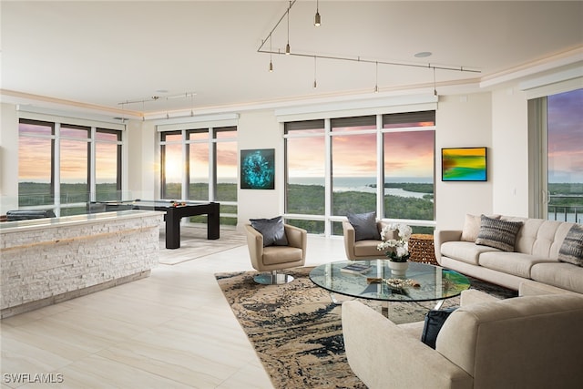 living room with a healthy amount of sunlight, track lighting, and billiards