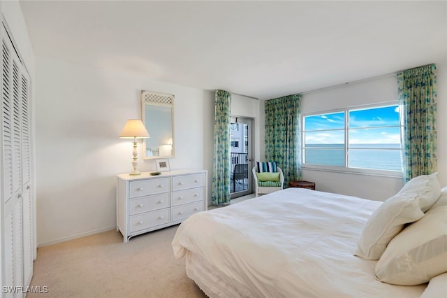 carpeted bedroom with a closet and a water view