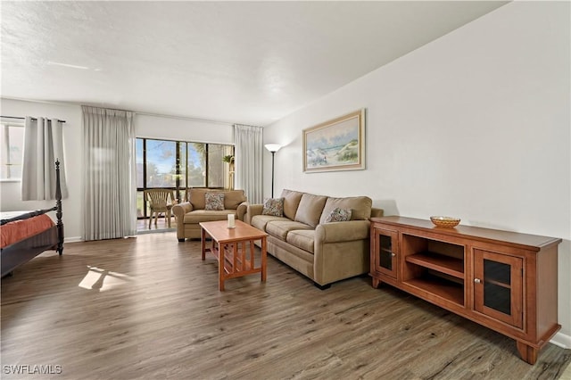 living room with dark hardwood / wood-style flooring