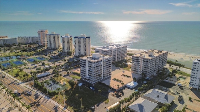 drone / aerial view with a water view and a beach view