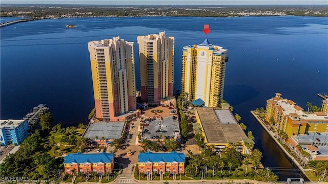 bird's eye view with a water view