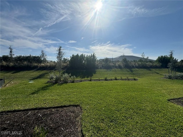 view of yard with a rural view