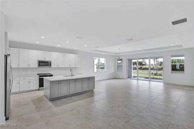 kitchen featuring a raised ceiling, sink, white cabinets, stainless steel appliances, and a center island with sink