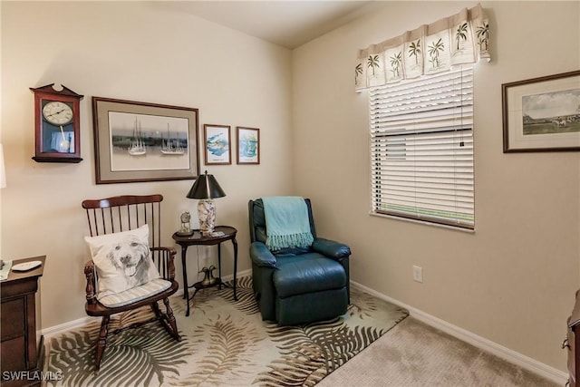 sitting room with carpet floors