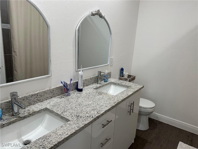 bathroom with vanity, toilet, and wood-type flooring