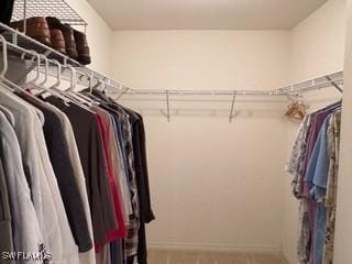 view of spacious closet