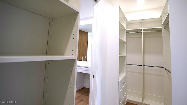 walk in closet featuring wood-type flooring