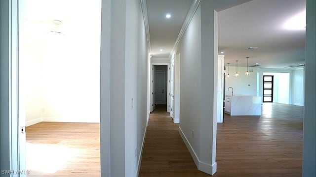 hall featuring sink, hardwood / wood-style floors, and ornamental molding