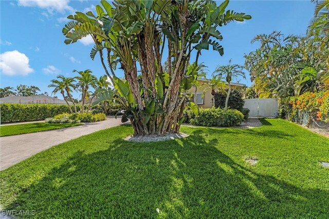 view of yard featuring fence