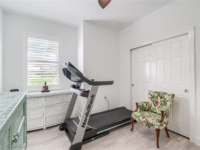 exercise area featuring light hardwood / wood-style flooring