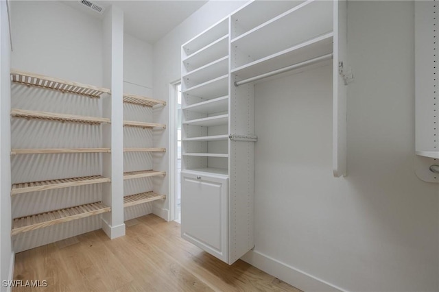 spacious closet with light wood-type flooring