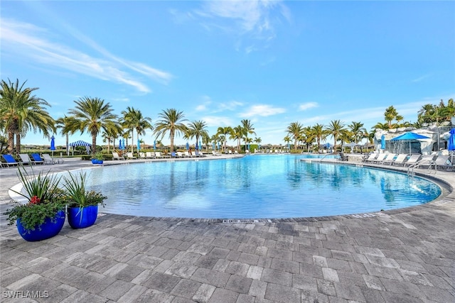 view of swimming pool featuring a patio area